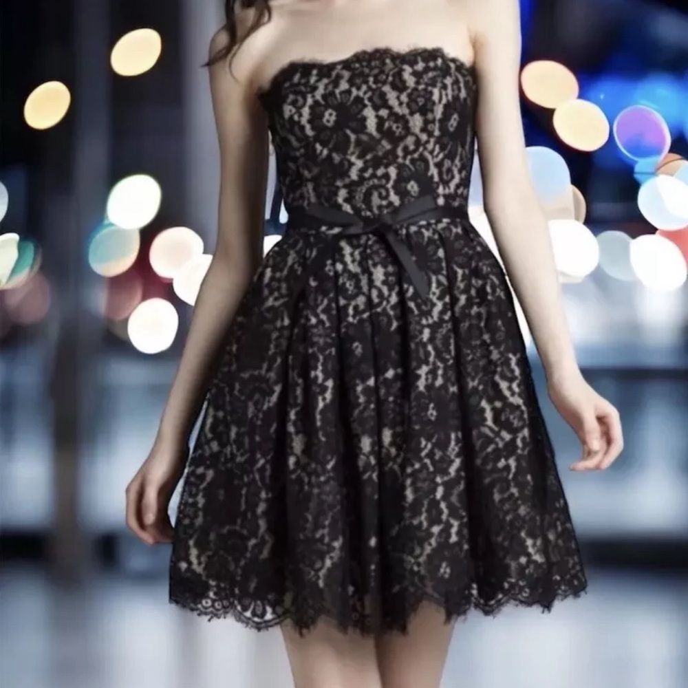 Neiman Marcus Robert Rodriguez Dress Sz 10 Chantilly Black Lace Strapless Tulle